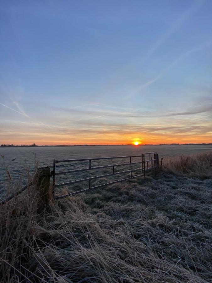 Vakantiewoning Scheldestraat 23 Zoutelande, Dicht Bij Domburg ภายนอก รูปภาพ